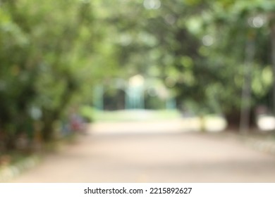 Defocused Trees In The Morning Garden