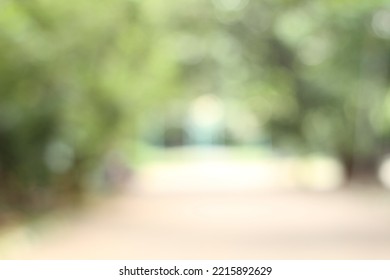 Defocused Trees In The Morning Garden