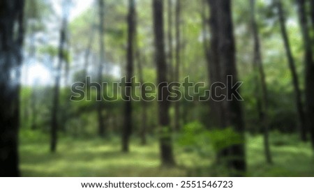 Similar – Image, Stock Photo Impressionist autumn scene of fields and oak forest