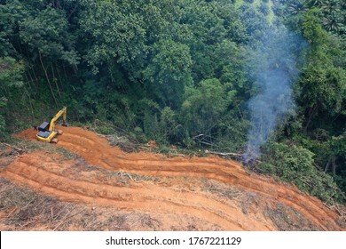 Deforest environmental problem. Logging of rain forest to clear land for palm oil plantations in Southeast Asia  - Shutterstock ID 1767221129