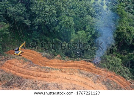 Deforest environmental problem. Logging of rain forest to clear land for palm oil plantations in Southeast Asia 