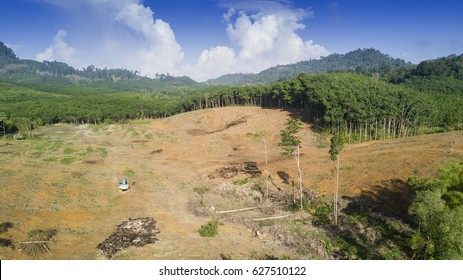 Deforestation. Aerial Drone Photos Of Logging Environmental Destruction Of Rainforest In Thailand. Forest Land Cleared For Oil Palm Plantations.