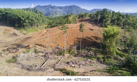 Deforestation. Aerial Drone Photos Of Logging Environmental Destruction Of Rainforest In Thailand. Forest Land Cleared For Oil Palm Plantations.