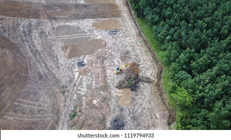 Deforestation Aerial Photo. Forest Destroyed For Palm Oil Production 