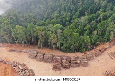 Deforestation. Aerial Photo Of Logging In Malaysia Rainforest 