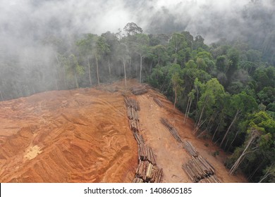 Deforestation. Aerial photo of logging in Malaysia rainforest  - Shutterstock ID 1408605185