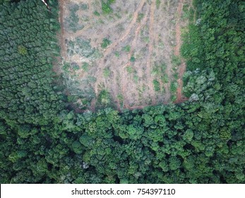 Deforestation. Aerial Photo Of Rain Forest Logging In Thailand