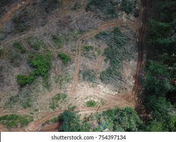 Deforestation. Aerial Photo Of Rain Forest Logging In Thailand