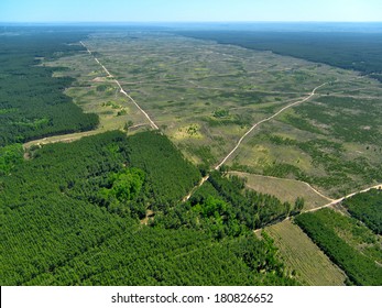 Entwaldung. (Luftbild).