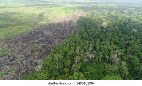 Deforestation In Amazon Forest Peru. Aerial View