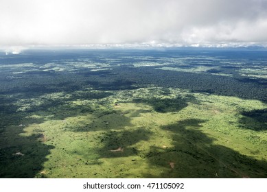 Deforestation In Amazon. Rain Froest, Brazil.