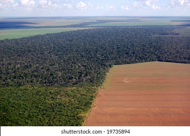 Deforestation In Brazil, Aerial View Of A Large Soy Field Eating Into The Tropical Rainforest