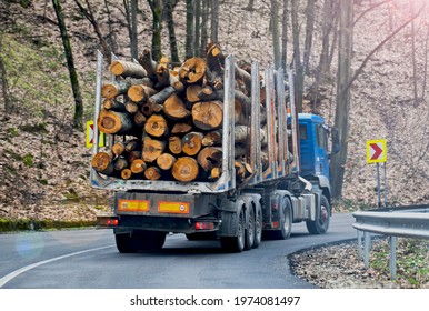 82,240 Truck tree Images, Stock Photos & Vectors | Shutterstock