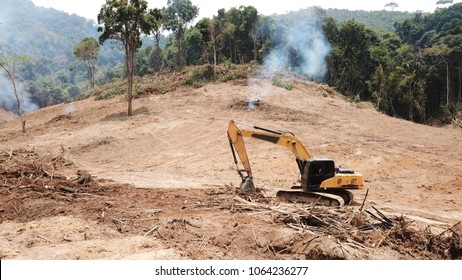 Deforestation. Environmental Destruction Of Rainforest. Borneo Forest Destroyed For Oil Palm Plantations