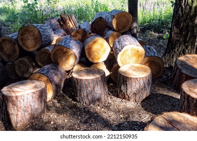 Deforestation. Logs Sawn Into Pieces And Prepared For Winter. Pile Of Firewood.