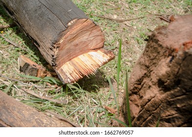 Deforestation In Mountains Of Colombia