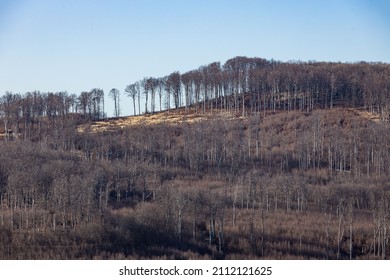 Deforestation In Mátra Mountains Hungary