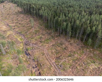 880 Afforestation Area Images, Stock Photos & Vectors | Shutterstock