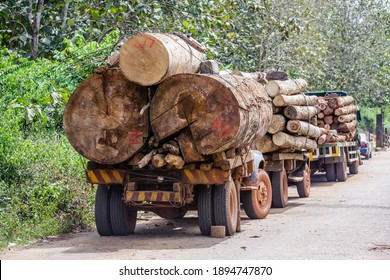 Deforestation In Nigeria. Shot Near Ijebu Ode, Ogun, Nigeria.  On 16 April  2020.