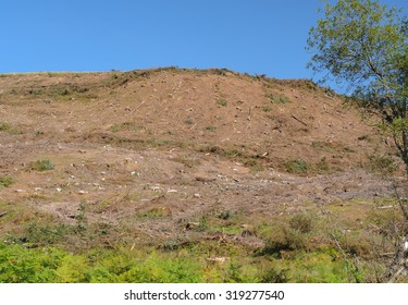 Deforestation On The Two Moors Way Near Simonsbath In Exmoor National Park, Somerset, England, UK