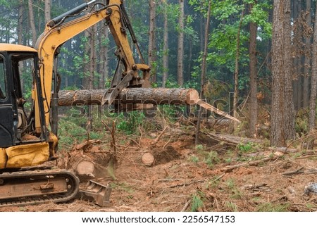 Deforestation process uses tractor manipulator to lift logs with help tractor manipulator provide land with necessary material for construction houses.