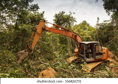 Deforestation Of Rainforest. Environmental Problem. Borneo, Malaysia