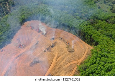 Deforestation. Smoke And Fire As Rainforest Cut And Burned For Palm Oil Industry  