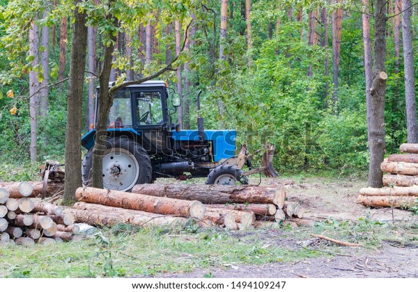 Deforestation and truck loading, the concept of\
the forest industry and the permanent business of workers, pine\
forest is exported for further processing and delivery of material\
to the consumer