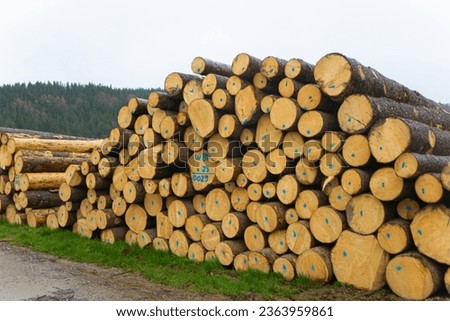 deforestation.many logs.numbered and marked logs.large log.sale of firewood.preparation of firewood and logs.poaching.old forest.tree trunks.cut down wood.preparation for the winter.wood heating.