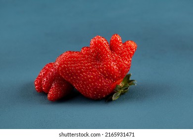 Deformed strawberry on blue background, close-up. Unusual organic strawberries. Ugly fruits strange shape. Selective focus.