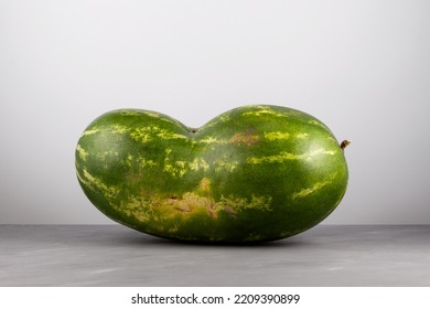 Deformed Ugly Watermelon. Double Conjoined Watermelon. Concept - Food Waste Reduction. Eating Imperfect Foods.