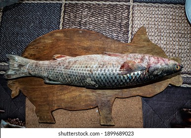 Defrosted Mullet Fish With The Latin Name Mugilidae On A Cutting Board