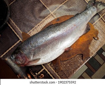 Defrosted Trout With The Latin Name Salmonidae On A Chopping Board