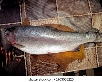 Defrosted Trout With The Latin Name Salmonidae On A Chopping Board