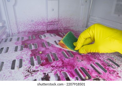 Defrosting And Cleaning The Freezer. A Woman In Latex Gloves Wipes Meltwater And Dirt With A Sponge. Shallow Depth Of Field. Space For Text.