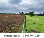 Degraded pasture area being harrowed. Pasture reform