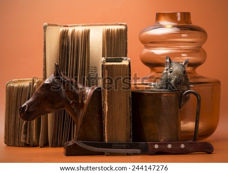 Degu