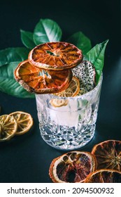 Dehydrated Citrus Fruit Oranges Blood Orange And Lemon Dragon Fruit Cocktail In A Glass With Ice Spash Tonic Black Background Product Photography Citrus Wheels Nightlife