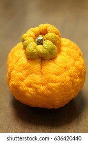 Dekopon ( Sumo Mandarin )