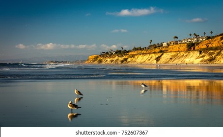 Del Mar Beach 