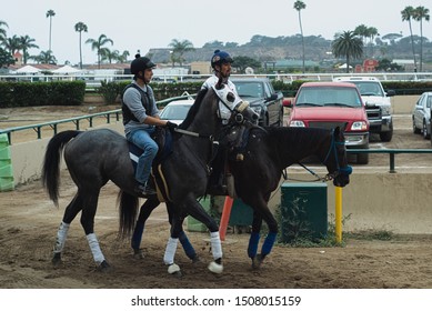 Del Mar, CA  USA - 83119 - After Morning Workout Race Horses And Jockeys Return To Stable Area At Del Mar Thoroughbred Club Race Track - 