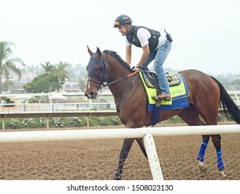 Del Mar, CA  USA -83119- Race Horse And Jockey Galloping On The Dirt Track For A Morning Workout At Del Mar Thoroughbred Club Race Course -