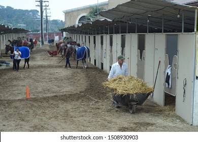 Del Mar, CAUSA 83119 - View Of Stable Area At Del Mar Thoroughbred Club Horse Racing Track, Hay In A Wheelbarrow, Stable Hands Walking Race Horses After Morning Workouts, 