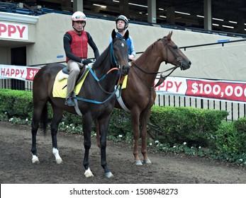 Del Mar, CAUSA 9119 Jockeys And Racehorses Enter Track For Workouts At Del Mar Thoroughbred Club Horse Racing Track, 