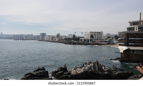 Viña Del Mar Chile Coast And Casino