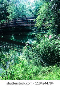 Delaware And Raritan Canal State Park. Beautiful Lake Front With Surrounding Forest.