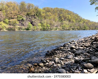 Delaware River Bank During The Spring In Bucks County PA