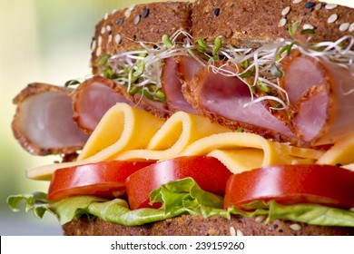 Deli Meat Sandwich With Ham And Cheese 