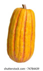 Delicata Squash