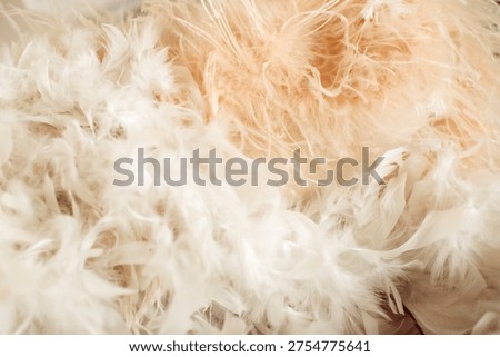 Delicate abstract texture featuring soft white and peach feathers. Perfect for Mother's Day cards, wedding invitations, luxury beauty branding, and romantic spring backgrounds